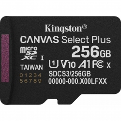 Карта пам'яті Kingston Canvas Select Plus microSDXC 256GB UHS-I U1 V10 (SDCS3/256GBSP)