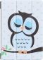 Обложка BeCover Smart Case для Lenovo Tab M10 TB-X605 (BC_703475) Owl - фото  - интернет-магазин электроники и бытовой техники TTT