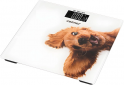 Напольные весы ZELMER ZBS1010 Crazy dog - фото  - интернет-магазин электроники и бытовой техники TTT