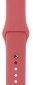 Ремешок Apple Sport Band for Apple Watch 38mm Pink (3 straps) - фото  - интернет-магазин электроники и бытовой техники TTT