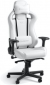 Кресло геймерское Noblechairs EPIC White Edition (NBL-EPC-PU-WED) - фото  - интернет-магазин электроники и бытовой техники TTT