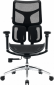 Кресло офисное SIHOO DORO S100 (S100-M301) Mesh Black  - фото  - интернет-магазин электроники и бытовой техники TTT