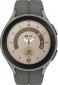 Смарт годинник Samsung Galaxy Watch 5 Pro (SM-R920NZTASEK) Titanium - фото  - інтернет-магазин електроніки та побутової техніки TTT