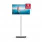 Телевизор Thomson Go TV 32HA4M44 - фото  - интернет-магазин электроники и бытовой техники TTT