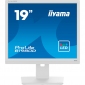 Монітор Iiyama ProLite B1980D-W5 - фото  - інтернет-магазин електроніки та побутової техніки TTT