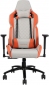 Кресло геймерское 1stPlayer DK2 Pro Orange/Gray - фото  - интернет-магазин электроники и бытовой техники TTT