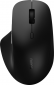 Миша Rapoo M50 Plus Silent Wireless Black - фото  - інтернет-магазин електроніки та побутової техніки TTT