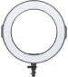Кільцеве світло PowerPlant Ring Light RL288A LED (RL288A) - фото  - інтернет-магазин електроніки та побутової техніки TTT
