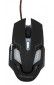 Мышь Greenwave KM-GM-4000LU USB Black (R0014222) - фото  - интернет-магазин электроники и бытовой техники TTT