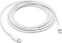 Кабель Apple Lightning - USB Type-С 2 м (MKQ42ZM/A) - фото  - інтернет-магазин електроніки та побутової техніки TTT