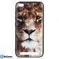 Панель BeCover 3D Print Xiaomi Redmi 5A (702062) Leopard - фото  - интернет-магазин электроники и бытовой техники TTT