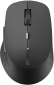 Мышь Rapoo M300 Silent Bluetoth (M300 Silent) Grey  - фото  - интернет-магазин электроники и бытовой техники TTT