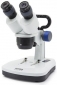 Микроскоп Optika SFX-33 20x-40x Bino Stereo (925147) - фото  - интернет-магазин электроники и бытовой техники TTT