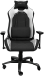 Кресло геймерское Trust GXT714W RIYE (TR25065) Black/White  - фото  - интернет-магазин электроники и бытовой техники TTT