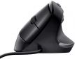 Мышь Trust Bayo 2 Ergonomic USB (25144) Black  - фото  - интернет-магазин электроники и бытовой техники TTT