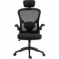 Кресло геймерское Sandberg ErgoFusion Gaming Chair Basic (640-97) Black  - фото  - интернет-магазин электроники и бытовой техники TTT